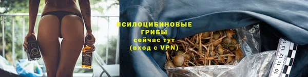 экстази Новозыбков