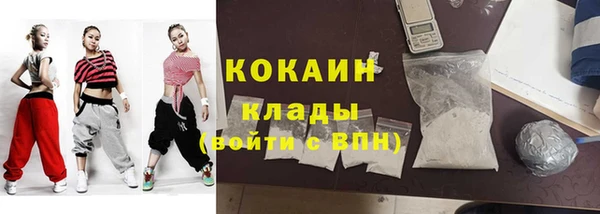 шишки Новокубанск
