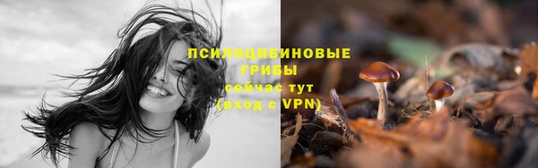 экстази Новозыбков