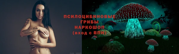 соль курить ск Новодвинск
