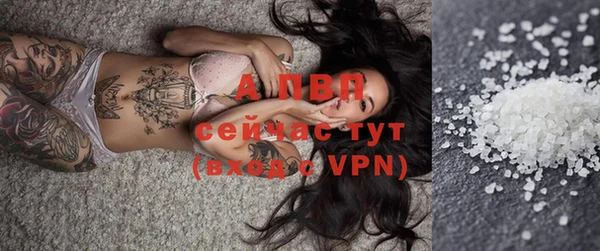 соль курить ск Новодвинск
