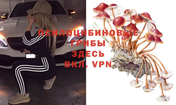 шишки Новокубанск