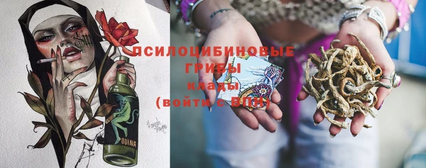 соль курить ск Новодвинск