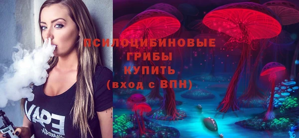 экстази Новозыбков