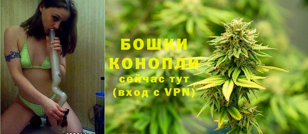 соль курить ск Новодвинск