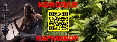 гидропоника Гусиноозёрск
