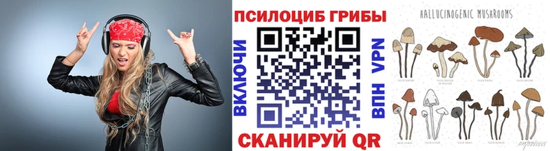 Псилоцибиновые грибы ЛСД ОМГ ОМГ как войти Тара