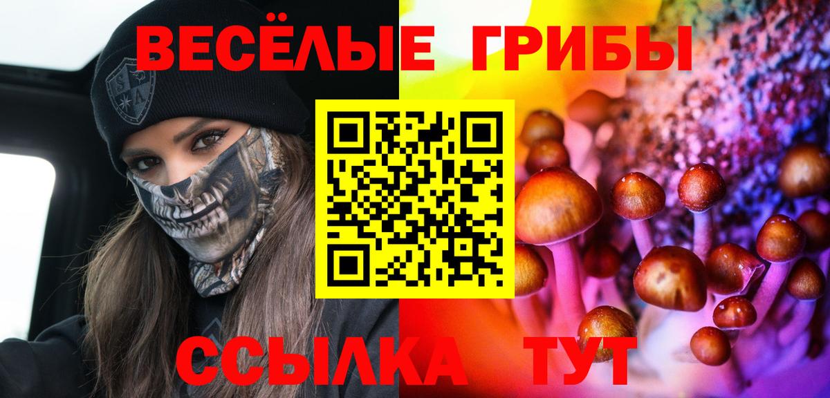 Псилоцибиновые грибы GOLDEN TEACHER  Галлюциногенные грибы прущие грибы  Тара  Вход с VPN 